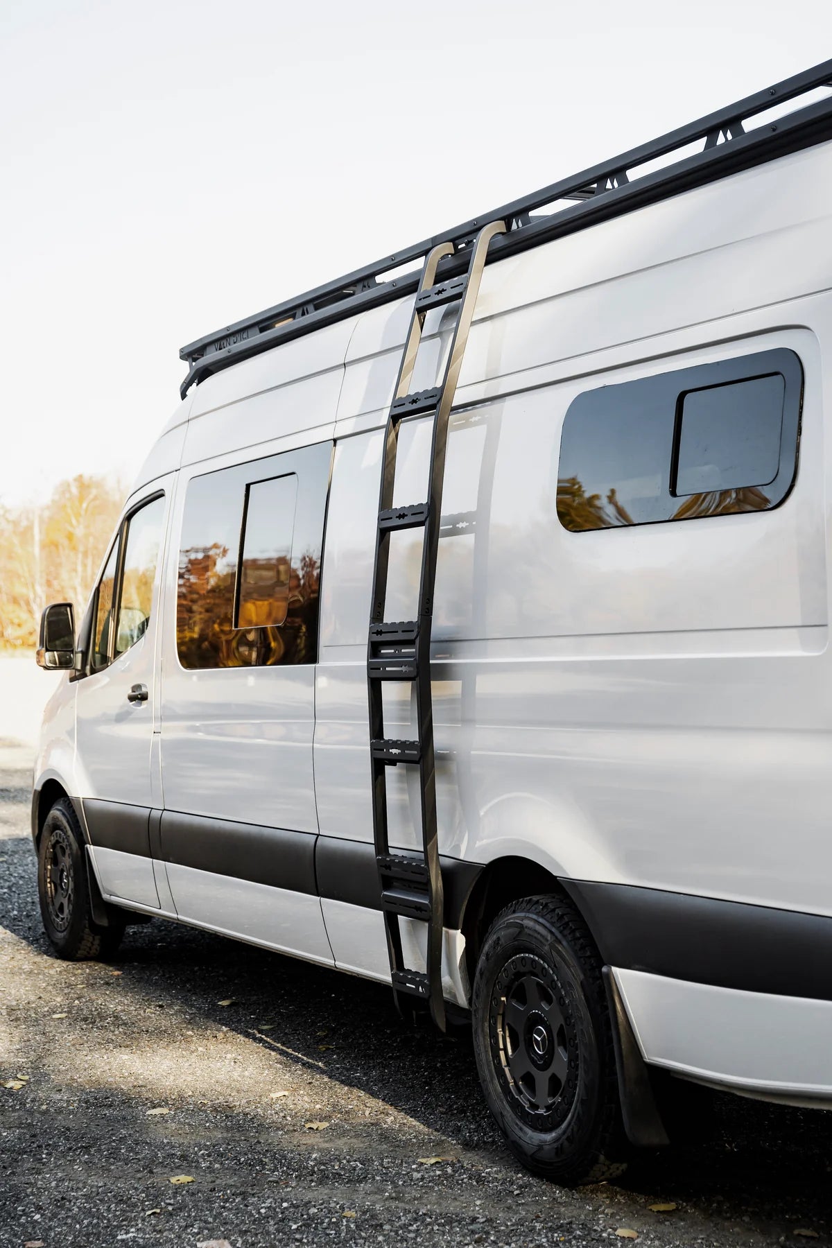 ALTA Side Ladder